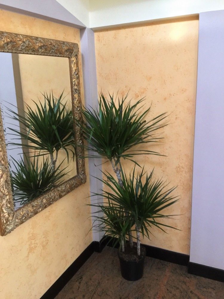 Hotel Marco Polo Self Check-In Bologna Ngoại thất bức ảnh